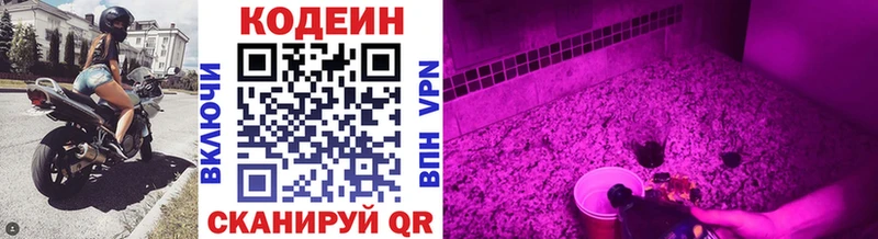 Кодеиновый сироп Lean Purple Drank Луза