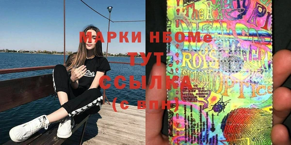 ГАЛЛЮЦИНОГЕННЫЕ ГРИБЫ Аркадак