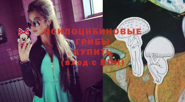 прущая мука Арсеньев