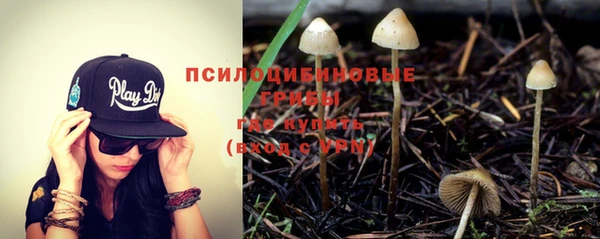 ГАЛЛЮЦИНОГЕННЫЕ ГРИБЫ Аркадак